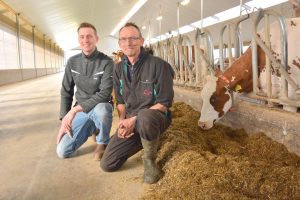 Ivo Hermanussen and his father Jan from Barendonk Holsteins in The Netherlands