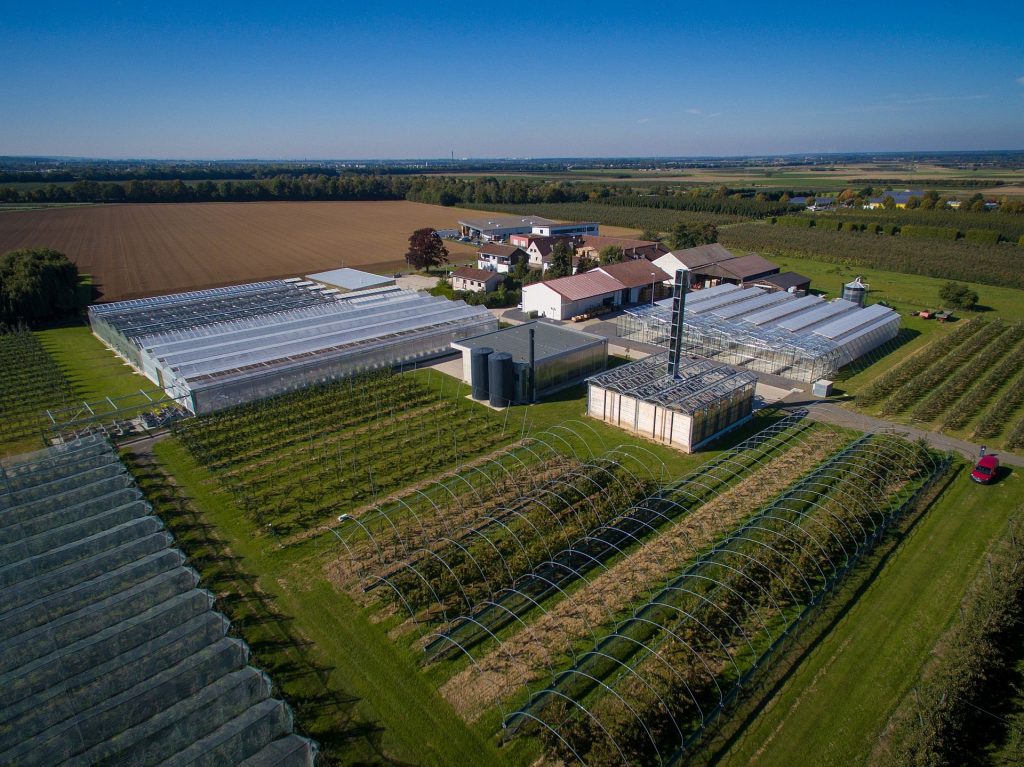 The Klein-Altendorf campus (CKA) is the external laboratory of the Faculty of Agriculture at the University of Bonn: field trials for innovations in plant cultivation are carried out here. Highlights of the visit on 23 September include robots for weed control and apple harvesting as well as the cascade use of renewable raw materials.